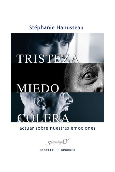 Tristeza, miedo, cólera