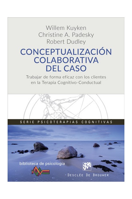 Conceptualización colaborativa del caso